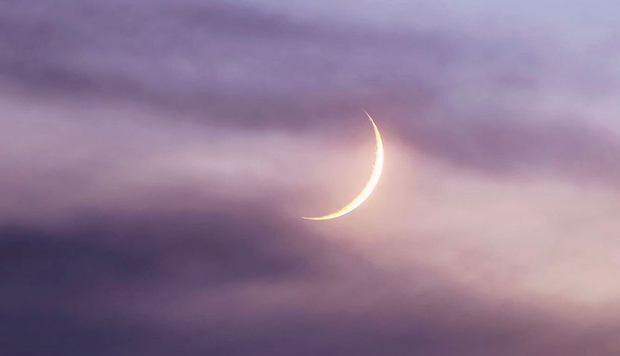 MOON LIGHT ムーンライト