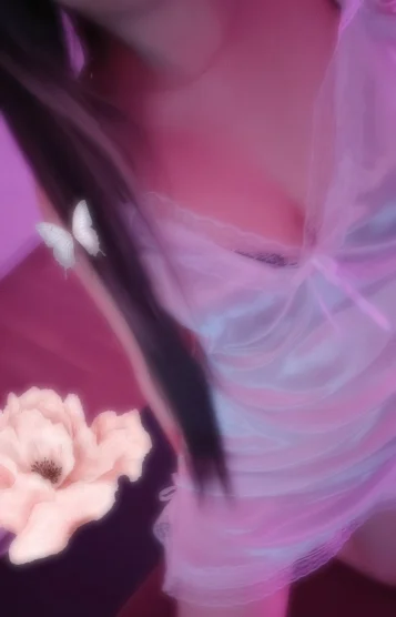 花鳥風月